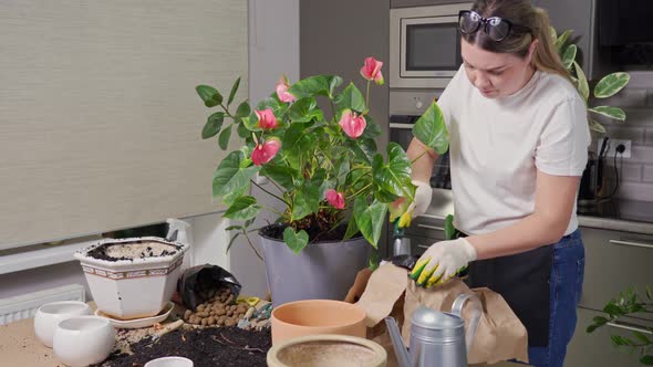 Young Woman Transplanting a Flower Into a Large Pot on the Table