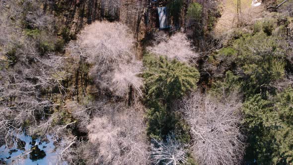 Drone flying over snow and mixed trees