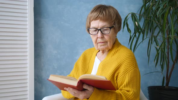 Grandmother Reading A Book