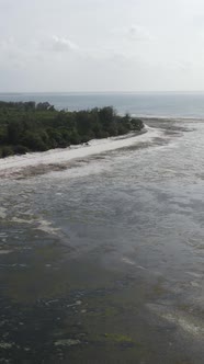 Vertical Video of Low Tide in the Ocean Near the Coast of Zanzibar Tanzania