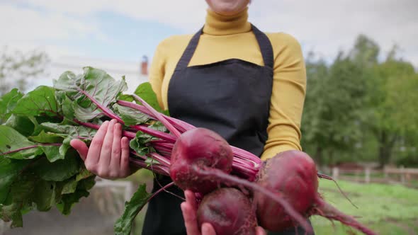 Woman Farmer Holding Fresh Vegetables