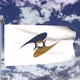 Eurasian Economic Union Flag Waving 4k - VideoHive Item for Sale