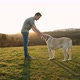 Man Gives Treat To His Dog At Beautiful Sunset - VideoHive Item for Sale