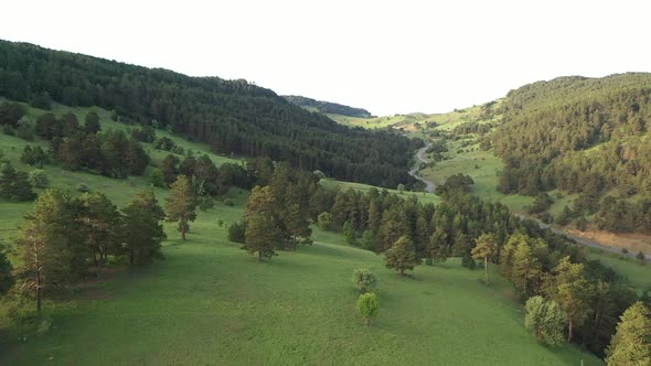 Aerial Forest Road And Green Valley