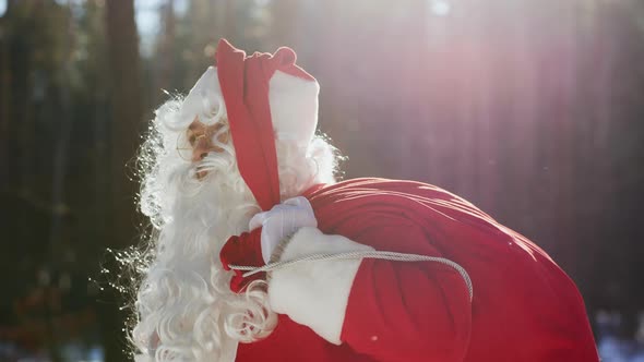 A Portrait of Santa Claus in a Sunny Park Throws a Red Sack with Gifts on His Shoulder