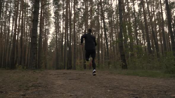 Running Man In Forest