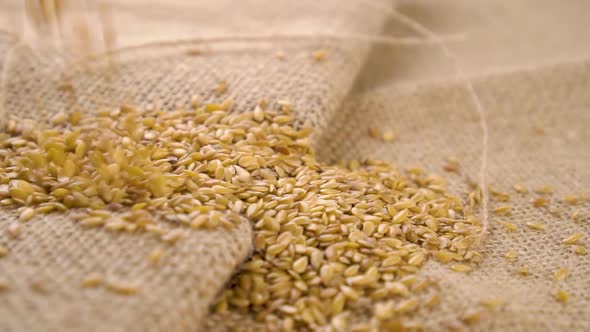 Flax seeds fall on a rustic burlap in slow motion