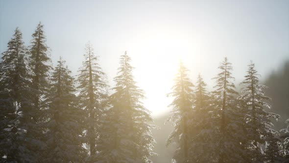 Dramatic Winter Sunrise in the Mountains