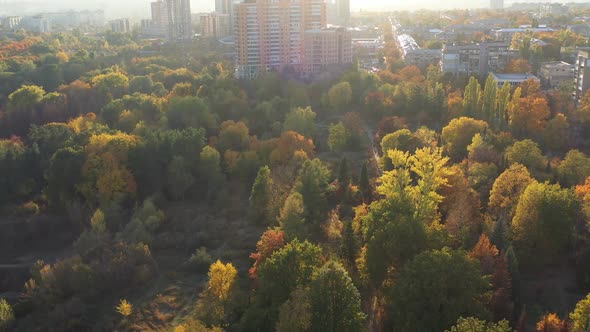 Beautiful Autumn City Park and Botanic Garden with High Buildings on the Background. Multicolored