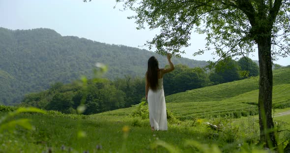 Slim Woman in White Clothes Is Walking on Lawn in Mountains, Touching Leaves on Trees