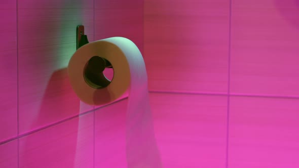 Toilet Paper