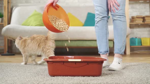 Woman's Hand Fills a Cat Tray with Pressed Sawdust Slow Mo