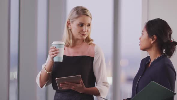 Two professional businesswoman working together in modern office in slow motion