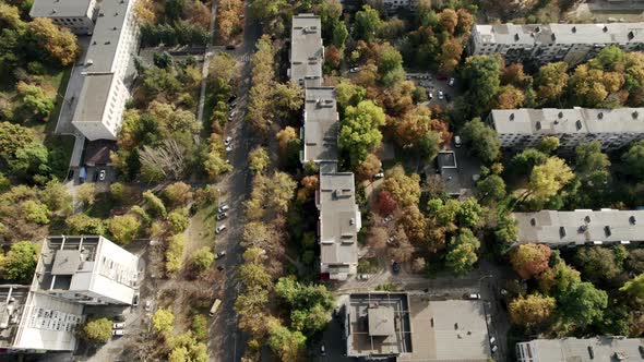 Residential Buildings Between Trees and Forest City with a Lot of Forest Drone