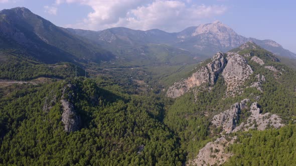 Coniferous Deep Forests in Mountains