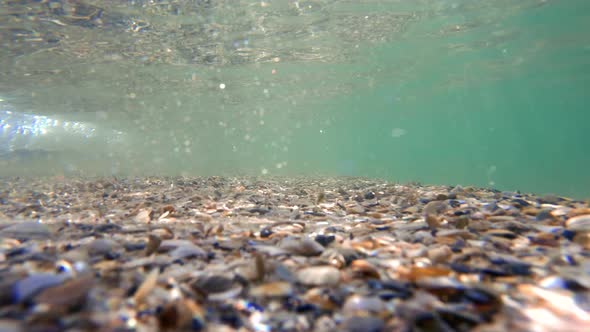 Sandy Sea Bottom Underwater Background