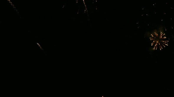 Colorful Firework display at night on sky background