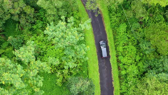 Travel by car, Aerial view on the field and  road, Landscape in the Indonesia at the day time