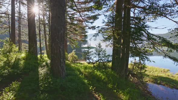 Black Lake  Crno Jezero Durmitor Area Montenegro