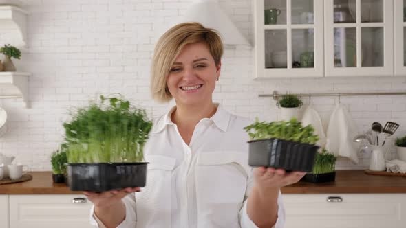 A Woman Keeps a Box of Sprouted Peas at Home in the Kitchen