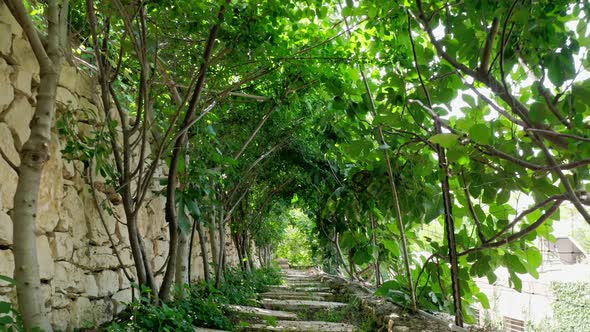 A beautiful garden inside an urban area with water streams, flowers and trees