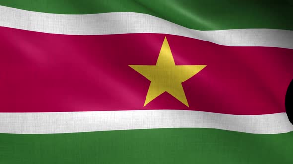 Suriname Flag