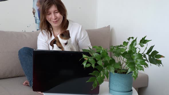 girl with her dog Jack Russell looks at the laptop screen at home