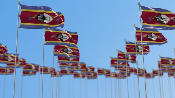 Swaziland Row Of National flags Walk Throw Animation