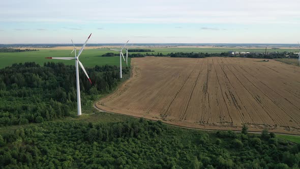 Windmills in Summer in a Green Field