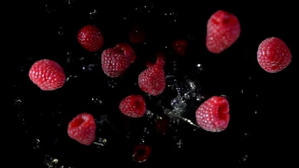 Top View of the Fresh Delicious Raspberries Bouncing on the Black Background