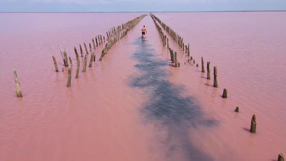 SasykSivash is the Largest Lake and Salt Lake on the Crimean Peninsula