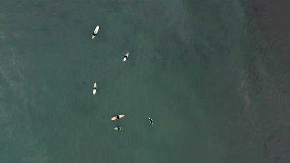 AERIAL: drone, surfers waiting for waves, steady view