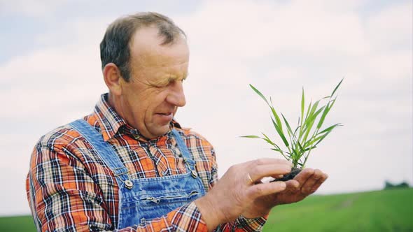 Farmer Holding Plant Sprout Over His Palm