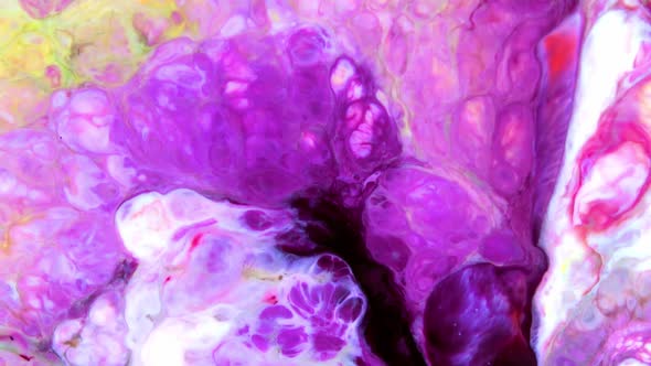 Abstract Colorful Fluid Paint Background 16 / Videohive