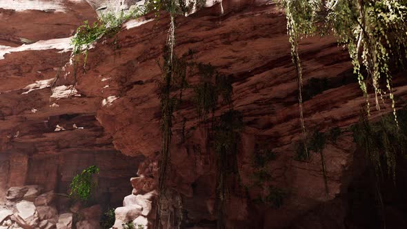 Inside a Limestone Cave with Plants and Sun Shine