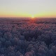 Snowy forest at sunset - VideoHive Item for Sale
