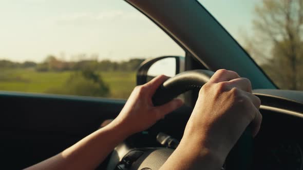 Female Hands at the Wheel of a Car