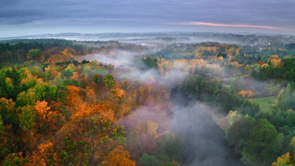 Foggy river and forest in autumn at sunrise, aerial view