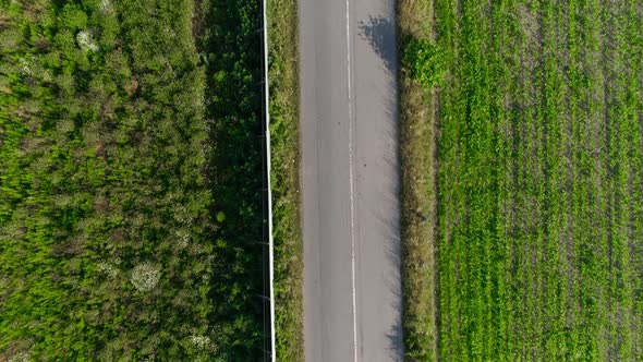 Road and Fields of Agriculture