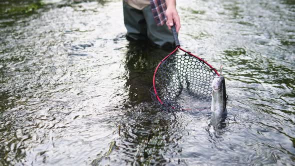 Trout Fishing