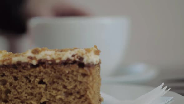 Diner in cafe enjoying cup of coffee and carrot cake