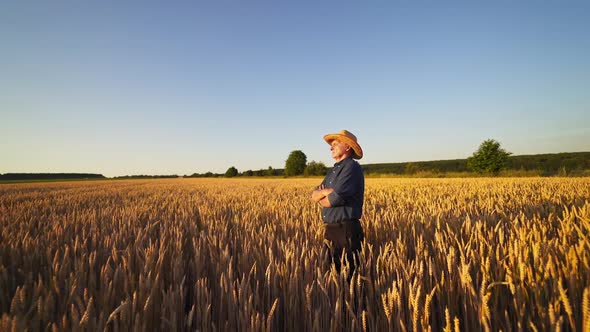 Agronomist in the middle of golden field.