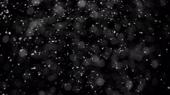 Super Slow Motion Shot of Real Snowfall Isolated on Black Background at 1000 Fps