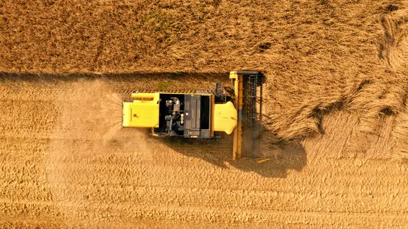 Top view of combine harvesting field in summer, Poland