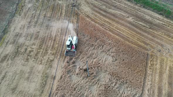 Harvester in the rice field