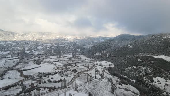 Winter Forest High Mountains Covered with Snow