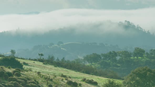 LONG LENS - a bank of early morning fog drifts across the Alentejo hills