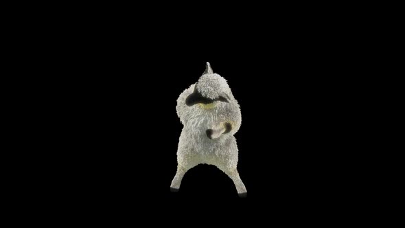 03 Sheep Dancing HD