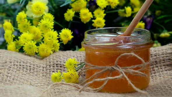 Honey jar. Dips wooden stick to glass bowl with liquid floral fresh honey