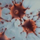Infectious Virus - VideoHive Item for Sale